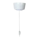 Ceiling Pull Switch